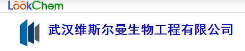 武漢維斯?fàn)柭锕こ逃邢薰緇ogo