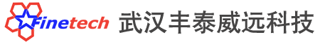 武漢豐泰威遠(yuǎn)科技有限公司logo